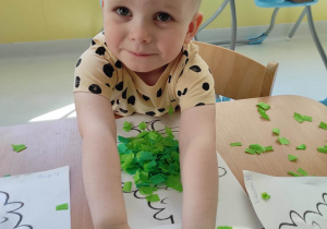 Zdjęcie Henryka sięgającego po kawałeczki zielonej bibuły znajdujących się na plastikowej białej tacy.