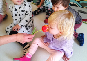 Dzieci przyglądają się jak Laura wącha tulipana.