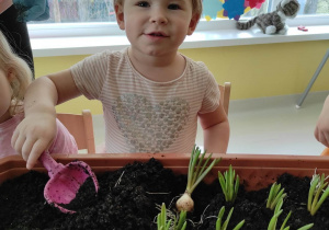 Pamiątkowe zdjęcie Alicji podczas sadzenia cebulki szafirka.