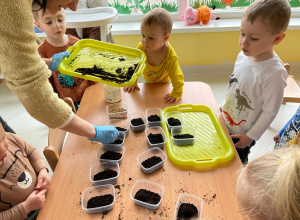 ŻABKI SIEJĄ RZEŻUCHĘ I OWIES