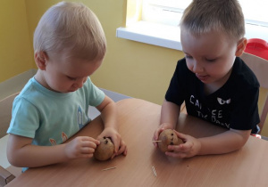 Franek i Oskar robią jeże z ziemniaka.