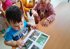 Dwoje dzieci siedzących przy stoliku ogląda obrazek z leśnymi zwierzętami.