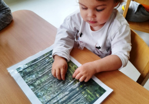 Helenka przygląda się ilustracji przedstawiającej las.
