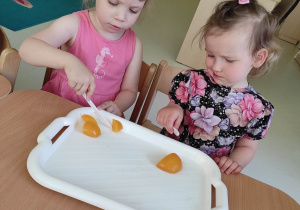 Alicja i Lilianna podczas krojenia brzoskwiń białymi plastikowymi nożami.