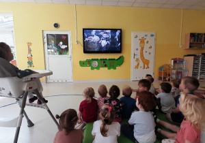 Mlauchy oglądają filmik edukacyjny o zwierzętach w zoo.