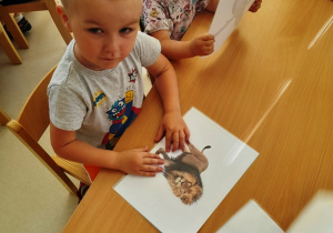Dorian pozuje do zdjęcia podczas oglądania obrazka z lwem.