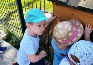 Krzyś wraz z innymi dziećmi obserwuje króliczki w drewnianej klatce.