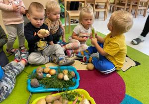 Dzieci w skupieniu oglądają warzywa.