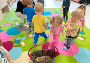 Zdjęcie dzieci bawiących się na dywanie podczas zajęć.