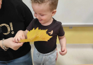 Zdjęcie Stefana oglądającego liścia w kolorze żółtym.