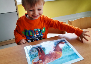 Chłopiec ogląda przy stoliku obrazek przedstawiający lisa.