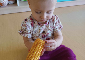 Amelia przygląda się trzymanej w dłoni kolbie kukurydzy.