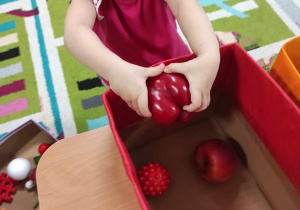 Aleksandra wkłada do czerwonego pudełka czerwone jabłuszko.