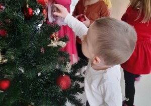Chłopiec przygląda się ozdobom na drzewku świątecznym.