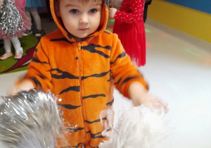 Chłopiec w stroju tygryska tańczy trzymając kolorowe pompony.