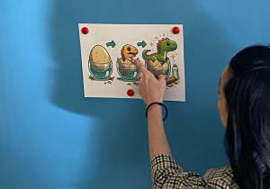 Opiekunka przyczepia do tablicy obrazek przedstawiający cykl życia dinozaura.