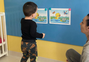 Chłopczyk wskazuje różnice pomiędzy dwoma podobnymi ilusracjami.