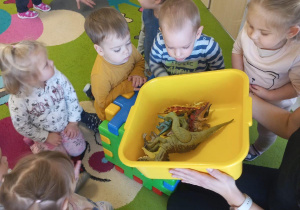 Opiekunka pokazuje zabawkowe dinozaury umiesczone w żółtej misce.