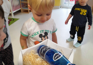 Chłopiec przyglądający się produktom w koszyku.
