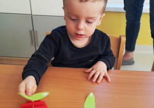 Chłopczyk dokleja listki do tulipana.