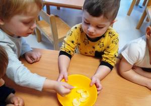 Dzieci przyglądające się kostkom lodu w żółtej miseczce.