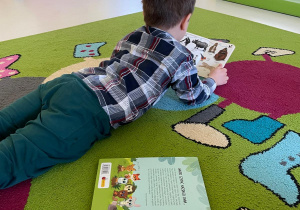 Chłopczyk leżący na dywanie ogląda książkę.