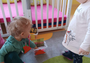 Maja przygląda się jak Amelia wkłada do plastikowego pudełeczka ze zdjęciem tulipanów, czerwoną karteczkę w kształcie trójkąta.
