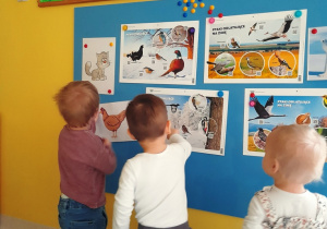 Dzieci oglądają obrazki zawieszone na tablicy.