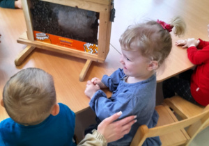 Dzieci oglądające żywe pszczoły znajdujące się w specjalnej ramce.