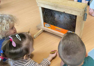 Dzieci przyglądają się ramce ze znajdującymi się w środku pszczółkami.