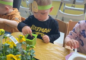 Chłopiec siejący kwiatki.