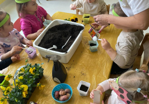 Dzieci sadzące cebulki kwiatów.