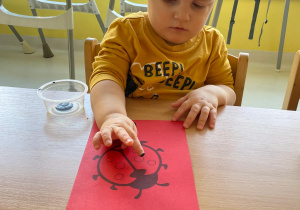 Chłopczyk przykleja plastelinę na kropki biedronki z papieru.