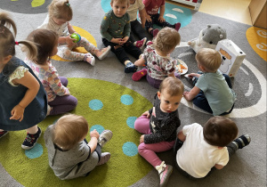 Zdjęcie dzieci z grupy Motylki siedzących na dywanie i przygotowujących się do zajęć pt. ,,SMAKOŁYKI DLA CHOMIKA''.