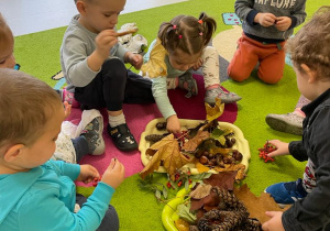 Dzieci z grupy Żabki na dywanie oglądają dary jesieni leżące na plastikowych tackach.