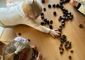 Dziewczynka wybiera jeden kasztan spośród leżących kasztanów na stoliczku.