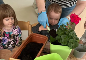 Opiekunka pomaga chłopcu wsypać ziemię do doniczki.