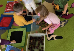 Ścieżka sensoryczna